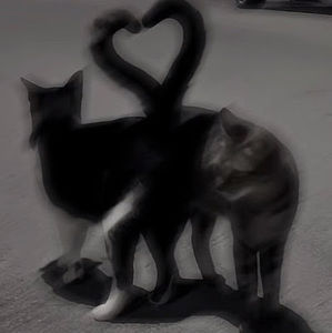 Meet your Posher, Iveta